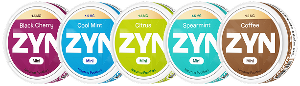 5 puszek ZYN w różnych wariantach